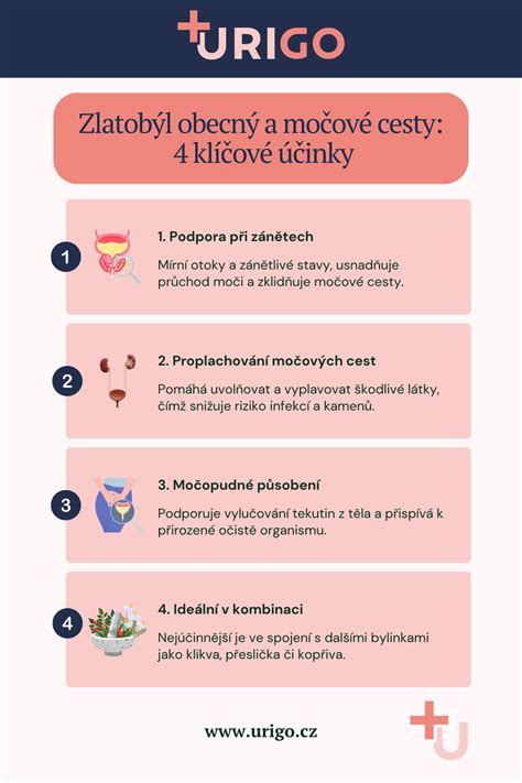 Infografika: Cesty čistenia obličiek a byliny