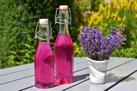 Infografika: Ako sa vyrába domáci levanduľový sirup
