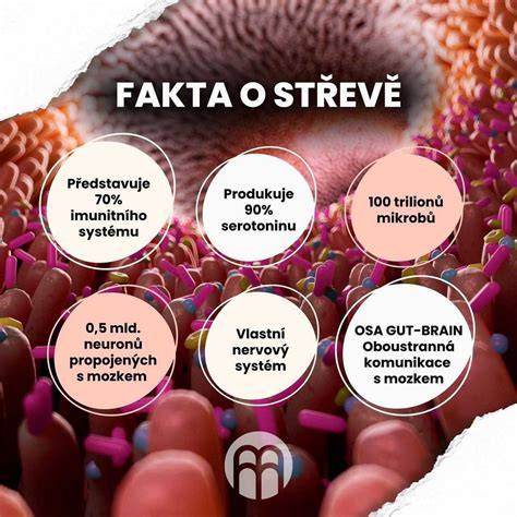 Infografika: Účinky skorocela na dýchací systém a imunitu