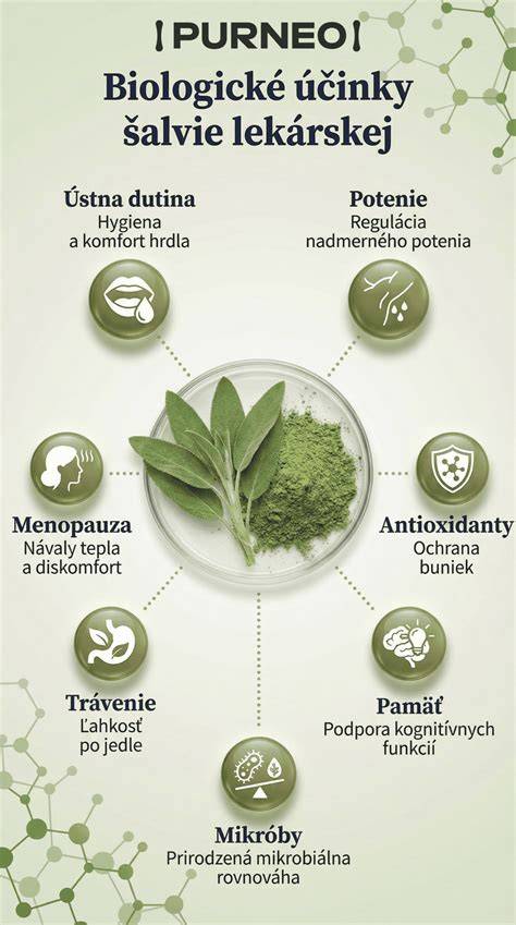 Infografika: Zloženie a účinky šalvie lekárskej (thujon, cineol, gáfor, borneol; flavonoidy; antioxidanty)