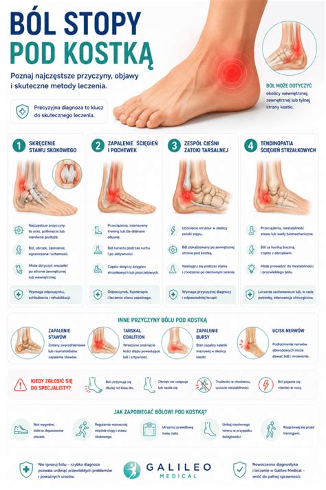 Infografika: Schéma spracovania čaju a hlavné stopy od zberu po balenie