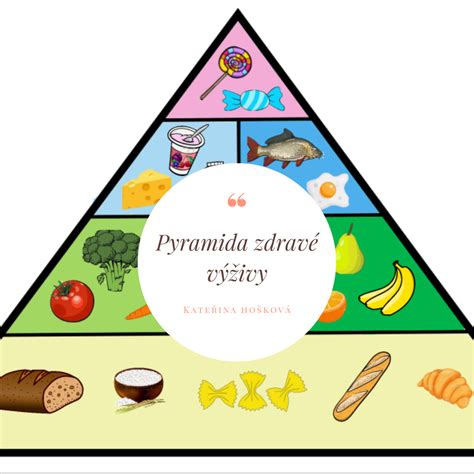 Ilustrácia zdravých jedál pripravených v pare