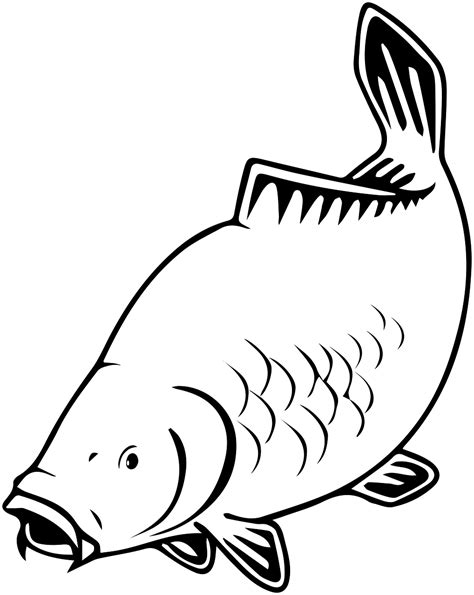ryba_obrys.png