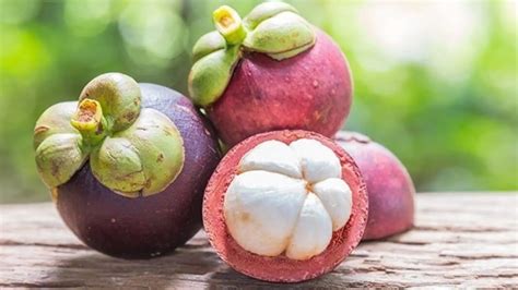 Mangostan - dôležitý antioxidant a chutné exotické ovocie: <obrazok>mangostan.jpg</obrazok>