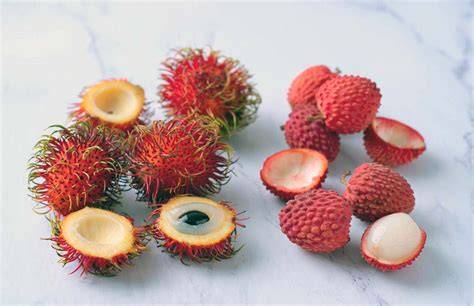 Rambutan a Lychee - blízke príbuzné tropické plody: <obrazok>rambutan_lychee.jpg</obrazok>