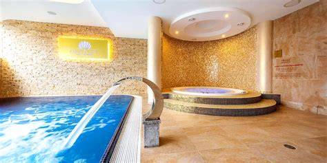 Schéma wellness centra so zónami: bazén, sauny, vírivka, masáže