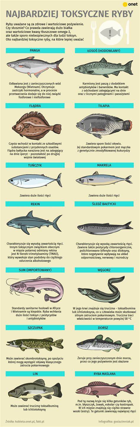 Infografika: Zápas medzi znameniami Ryby a najvhodnejšími partnermi
