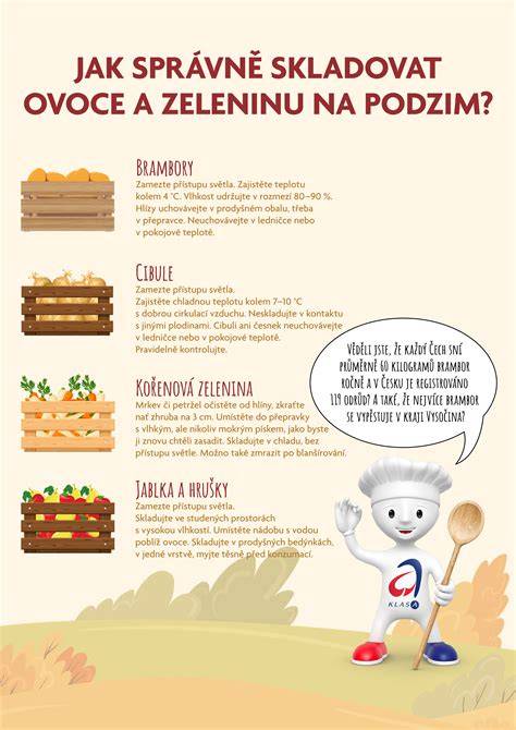 infografika: typické vrstvy dusenej zeleniny s bylinkami