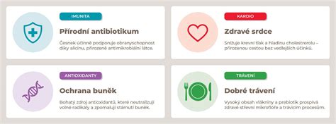 infografika: výživové benefity cibule