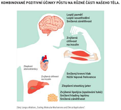Infografika: Ako pôsobí diuretikum v obličkách a čo sa deje s tekutinou v tele
