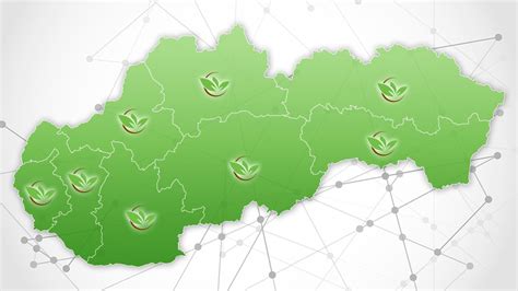 Infografika: Sieť predajní a logistika