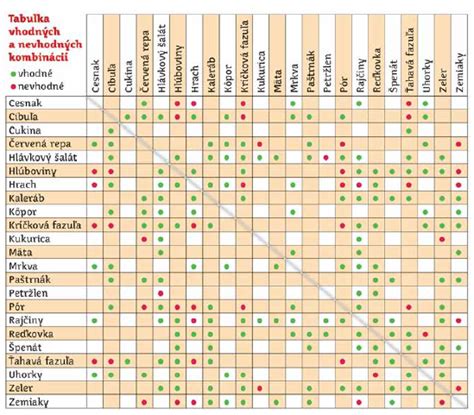 Infografika: Najlepšie kombinácie ovocia a zeleniny do druhého fermentu