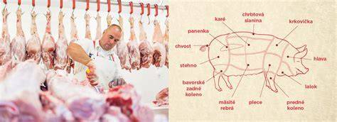 Vizualizácia procesu výberu mäsa a nálevu