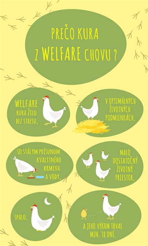 Infografika: Ako postupuje zaváranie mäsa a čo je potrebné na správnu sterilizáciu