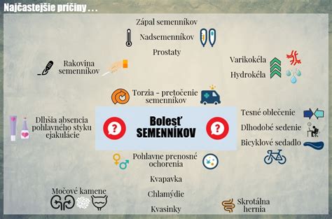 Schéma zobrazujúca obličkový kameň a jeho možný vplyv na bolesť semenníkov