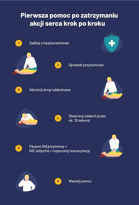 infografika_krok_1_linecke.jpg