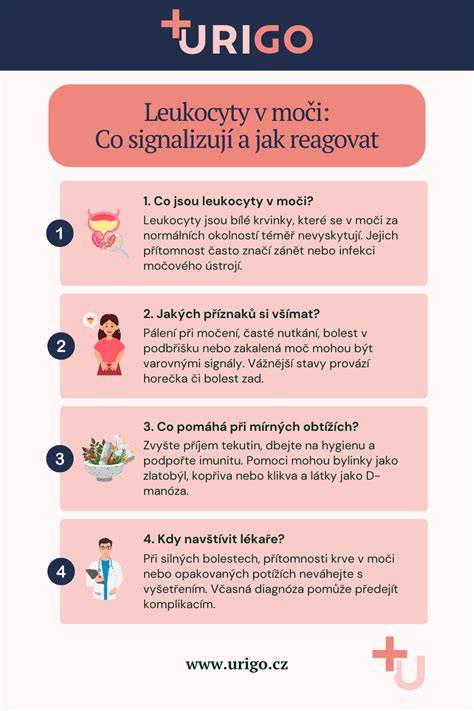 Infografika: výber surovín a tipy na úpravu leča