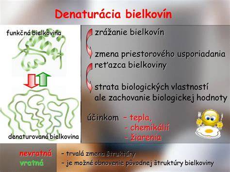 Diagram: Chemické zmeny počas pečenia (kysnutie, denaturácia bielkovín, gelatinizácia škrobu)