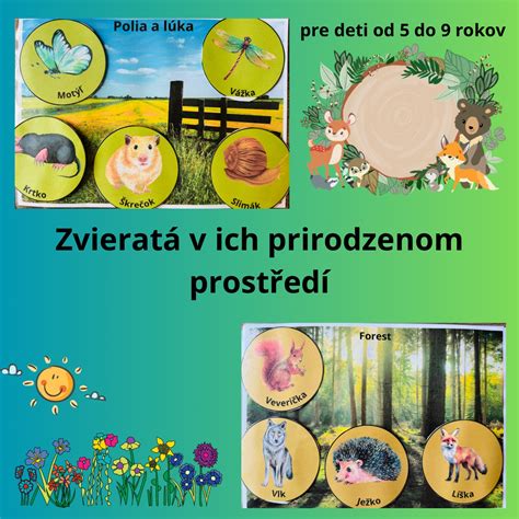 Ilustrácia jeleňa lesného v prirodzenom prostredí