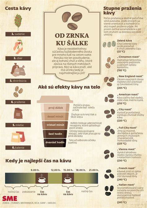 Infografika: Cesta kávy z čerešne k šálke