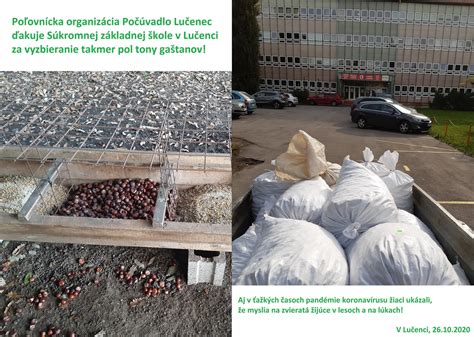 Proces lúpania a mixovania gaštanov
