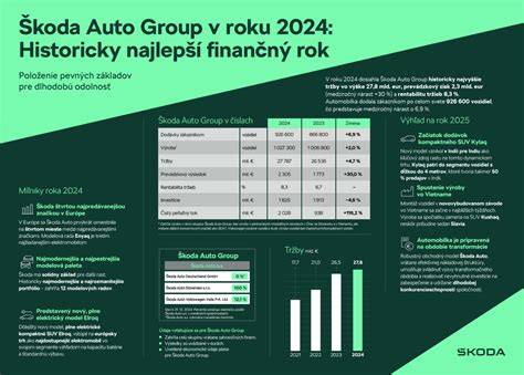 Infografika: Zhrnutie krokov prípravy bravčového gulášu