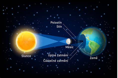 Obrázok znázorňujúci rozloženie zrnín a porovnanie celozrnného a bieleho pečiva