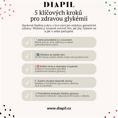 Infografika: 5 kľúčových krokov k dokonalej husacine (výber mäsa, správny pekáč, solenie, osvieženie tukom, konečné dopečenie)