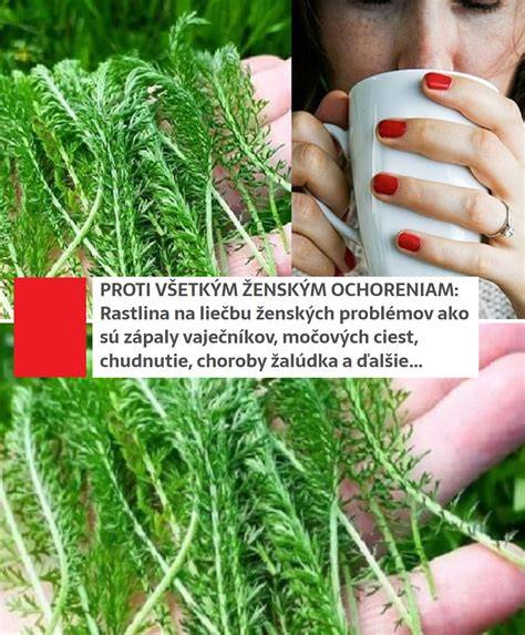 Infografika: Zloženie a postup makového ovseného koláča