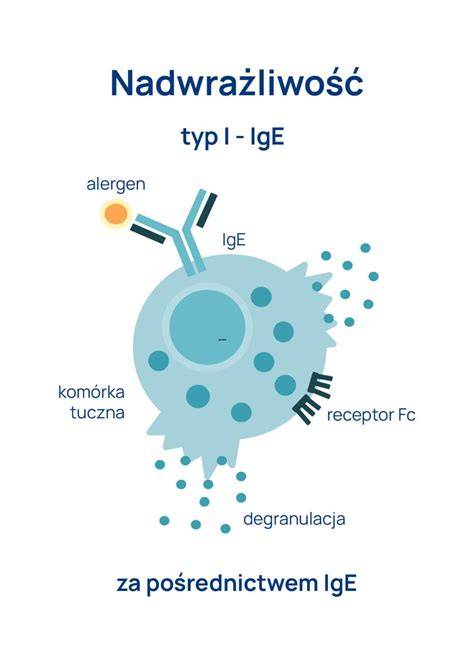 Infografika: Mechanizmus potravinovej alergie IgE (antigén-protilátka reakcia) a non-IgE mechanizmy