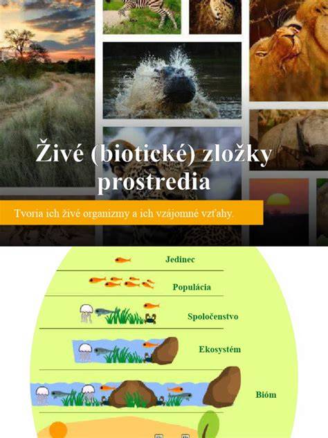 Regeneračné postupy a prírodné zložky