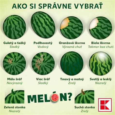 Infografika: Ako vybrať zrelý melón a základné kroky spracovania