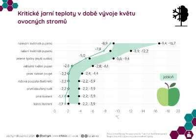 Infografika: možnosti ovocných náplní do ryžového nákypu