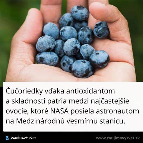 Karfiol, čučoriedky a ananás - vhodné potraviny pre renálnu diétu