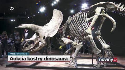 Inšpiratívna grafika zobrazujúca krok-za-krokom vytváranie kostry dinosaura z cesta