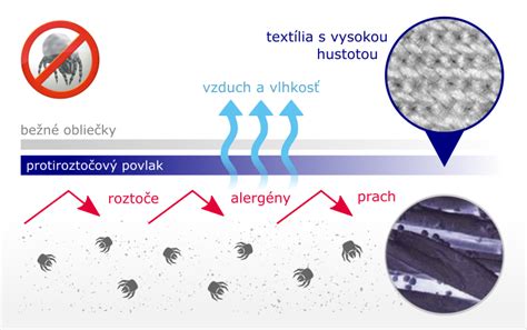 Porovnanie druhov vývarov