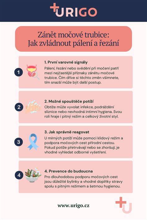 Infografika: Krok za krokom - ako zabrániť prilepeniu cesta na platne vaflovača