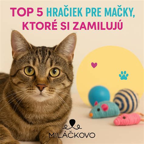Ilustrácia rôznych hračiek pre mačky vyrobených z domácich potrieb