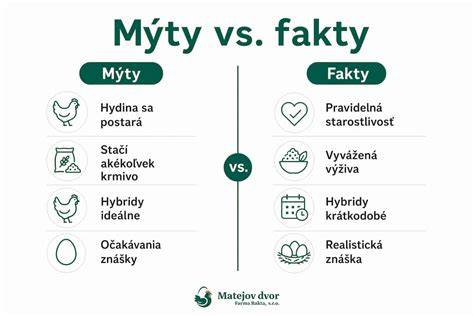 Infografika: Rúra vs. dusenie - čo treba vedieť