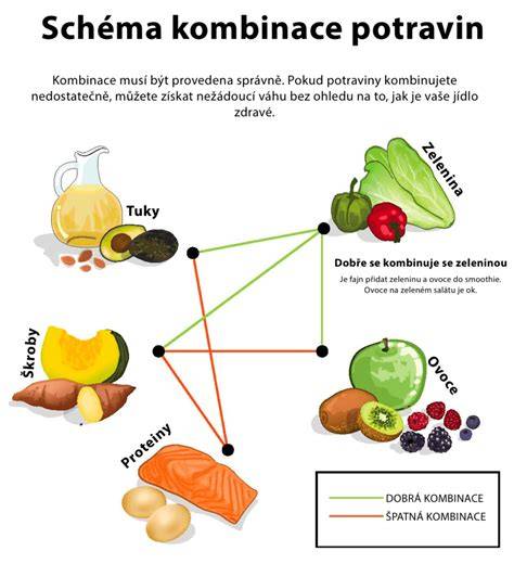 Schéma potravinových skupín delená strava