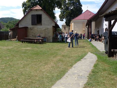 Gazdovský dvor s rôznymi zvieratami