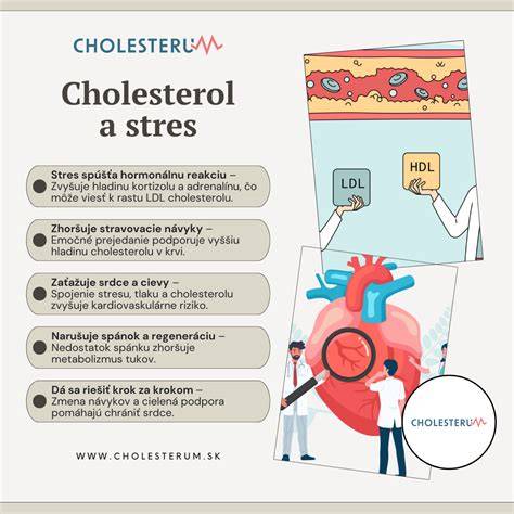 Infografika: ako monakolín K ovplyvňuje cholesterol