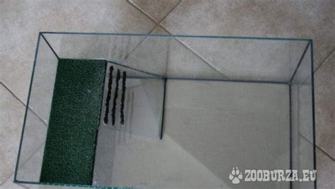 Ukážka správne zariadeného akvaterária pre vodnú korytnačku