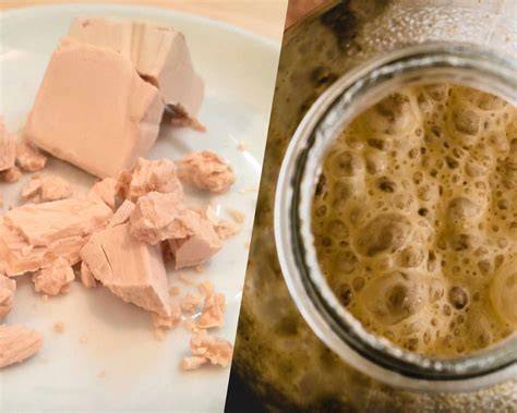 Infografika: ako funguje kysnutie cesta a rozdiel medzi kváskom a droždím
