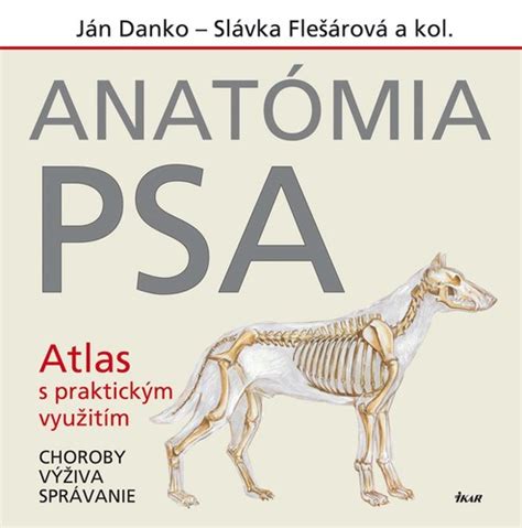 Anatómia psa