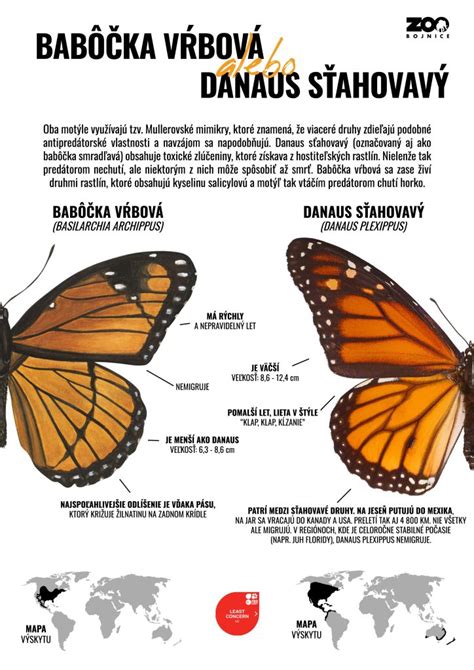 infografika: rozdiel medzi clafoutis a bublaninou