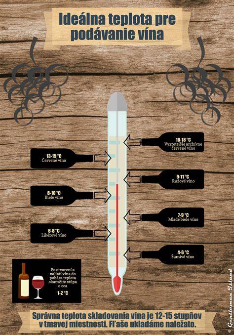 Infografika: Ako správne vyprážať kalamáre - teplota oleja, doba vyprážania a tipy na obal