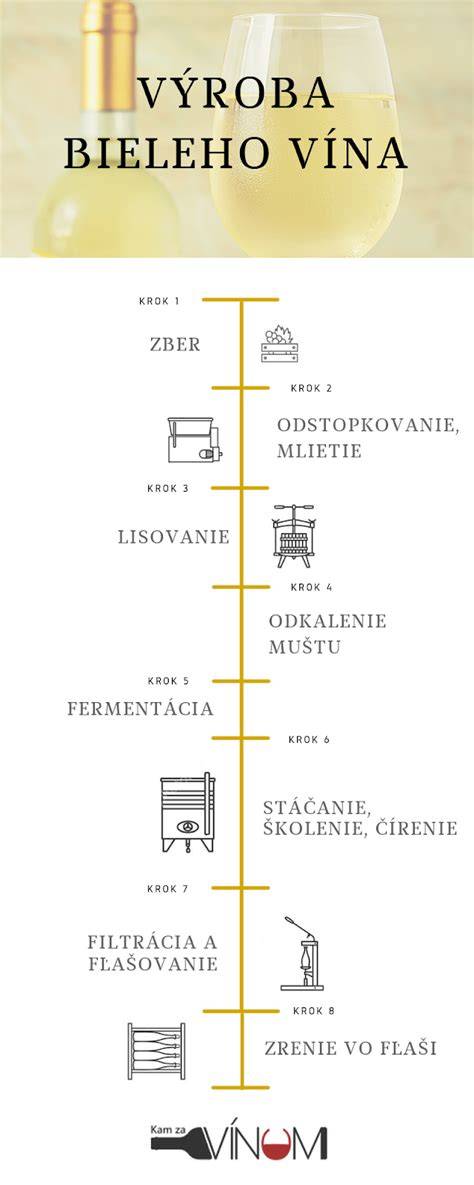 Infografika: Ako prebieha výroba domáceho vína