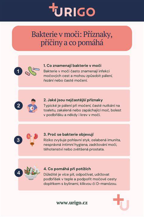 Infografika: Pomery a postup prípravy kráľovskej glazúry