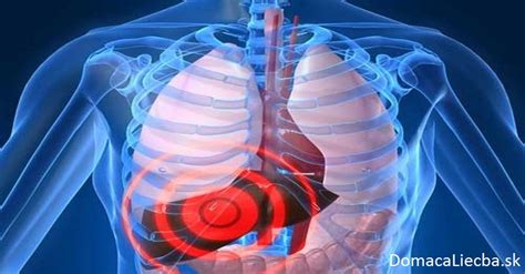 Schéma anatomickej polohy pečene a jej funkcií